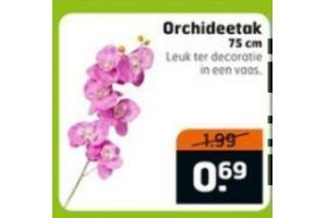 orchideetak