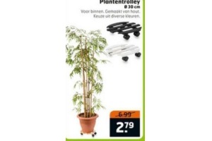 plantentrolley 30 cm