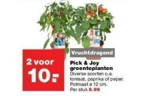 pick en joy groenteplanten