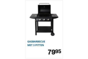 gasbarbecue met 3 pitten