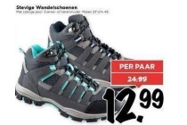 stevige wandelschoenen