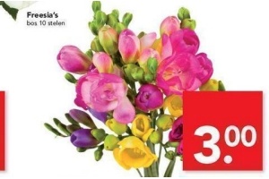 freesia s