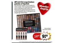 proartist oogschaduwpalette of lipstick