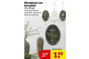 wandplaat van keramiek