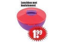 lunchbox met koelelement