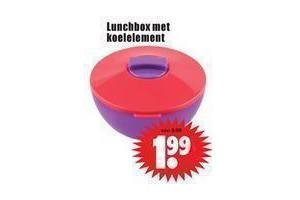 lunchbox met koelelement