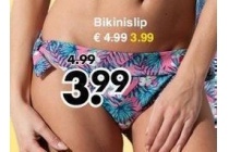 bikinislip