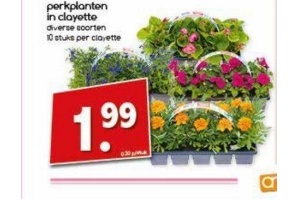 perkplanten in clayette