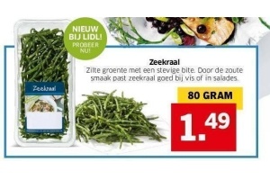 zeekraal