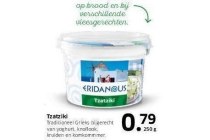 tzatziki