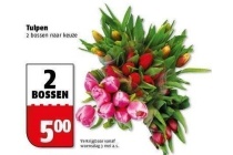 tulpen