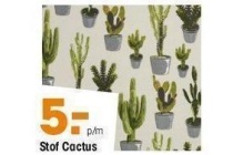 stof cactus