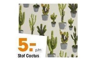 stof cactus