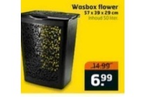 wasbox flower