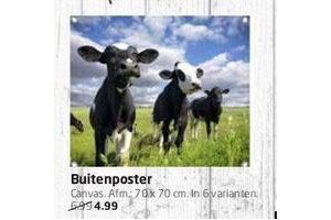 buitenposter nu voor eur4 99