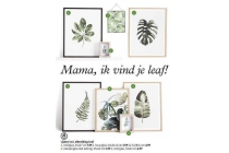 lijsten inclusief afbeelding leaf