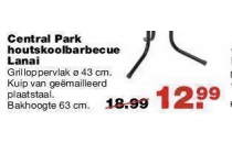 central park houtskoolbarbecue lanai nu eur12 99 per stuk