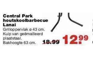 central park houtskoolbarbecue lanai nu eur12 99 per stuk