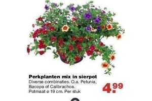 perkplanten mix in sierpot nu eur4 99 per stuk