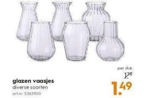 Getalenteerd betaling oog glazen vaasjes - Beste.nl