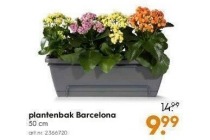 plantenbak barcelona