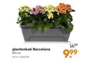plantenbak barcelona