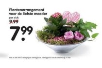 plantenarrangement voor de liefste moeder