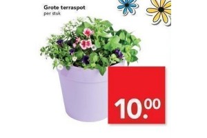 grote terraspot