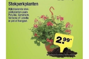 stekperkplanten