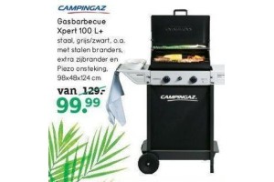 gasbarbecue xpert 100l