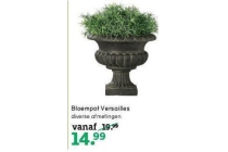 bloempot versailles