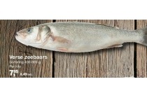 verse zeebaars