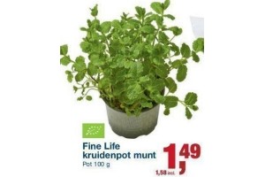 fine life kruidenpot munt