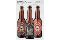 brouwerij t ij