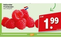hollandse frambozen