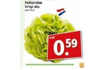 hollandse krop sla