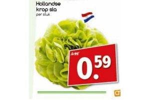 hollandse krop sla
