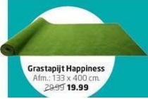 grastapijt happiness