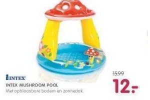 intex mushroom pool