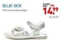 blue box met zomerse bloemetjes