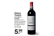 chateau troupian