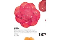 bresaola