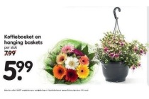 koffieboeket en hanging baskets