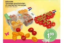 hollandse tomatogo snacktomaten of miss perfect tomaatjes