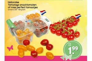hollandse tomatogo snacktomaten of miss perfect tomaatjes