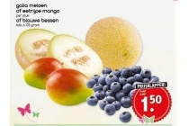 galia meloen of eetrijpe mango of blauwe bessen