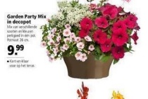 garden party mix in decopot