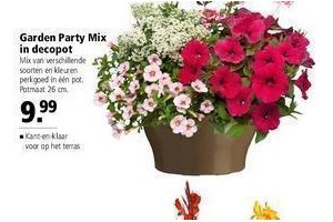 garden party mix in decopot