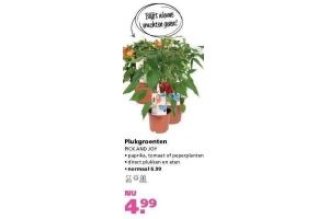 plukgroenten