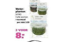 waterplanten